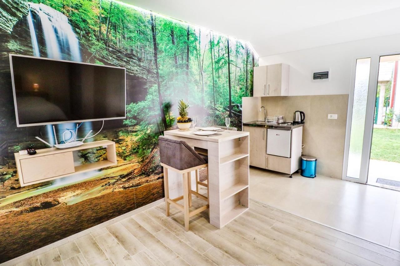 Апартаменты Simo apartments airport Podgorica Подгорица-14