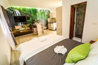 Апартаменты Simo apartments airport Podgorica Подгорица Улучшенные апартаменты-9