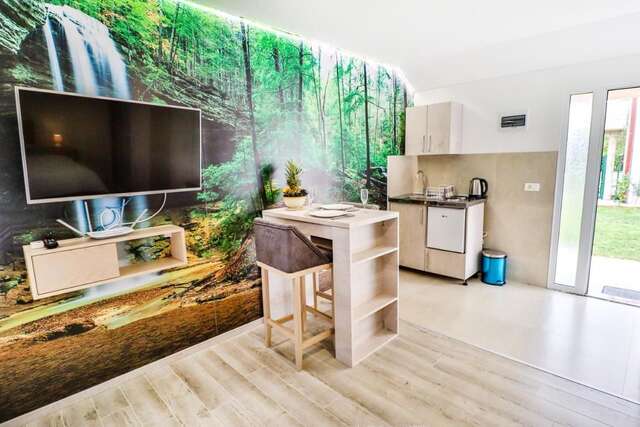 Апартаменты Simo apartments airport Podgorica Подгорица-13